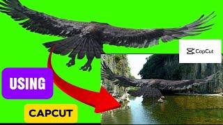 How to Use Chroma Key in CapCut: A CompleteGuide to Green Screen Editing #viralvideos #vfx #viral