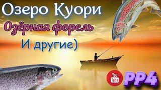 Озеро Куори • Форель Озёрная, Радужная и Севанская • Фарм • РР4 • Русская рыбалка 4 • 2023 год