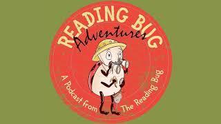 A Gorilla Adventure - Reading Bug Adventures