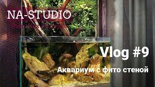 VLOG - склеил аквариум с фито стеной /NA-STUDIO BOBRUISK