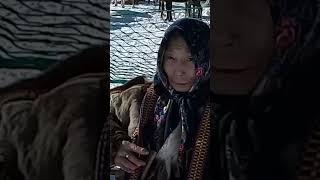  Как живут люди в тундре. Ямал. Крайний Север #рекомендации #янао #салехард
