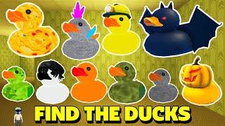 [  ] How to get 10 Ducks | Find THe Ducks !   #roblox  #ducks   #mindude