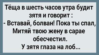 Как Жена в Сарае Под Соседа Легла! Сборник Свежих Анекдотов! Юмор!