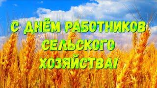 Концерт ко Дню работников сельского хозяйства и перерабатывающей промышленности.