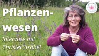 Interview mit Christel Ströbel: Pflanzenwesen (Mai 2021)