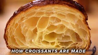 How Croissants Are Made • Tasty