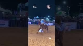 ExpoAgro Bragança 2023 #trend #cavalo #top #trendingshorts #cavalos #barrelracing #animais