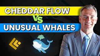 Cheddar Flow vs Unusual Whales: Shocking Results After Testing Both! 