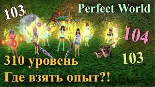 310 уровень Perfect World без Башни Будды и бронз