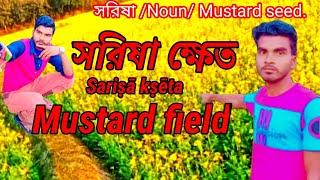 My New vlog 2022 vlog mustard fields mustard field my first vlog in field vlogs my first vlog viral