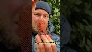 Супер НАСАДКА на КАРПА! Как быстро надеть ПВА конфету на поводок? Секреты ловли карпа! #карпфишинг