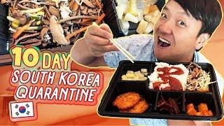 10 Day SOUTH KOREA Quarantine FOOD REVIEW & TRAVEL TIPS!