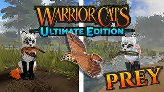 THE ULTIMATE GUIDE TO HUNTING |Warrior Cats: Ultimate Edition