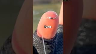I Fished with the SMALLEST Fishing Lure  #fishing