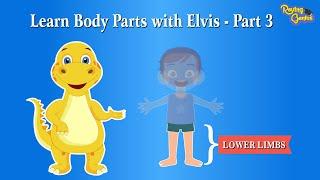 Discover the Parts of the Human Body  - Part 3 | Learn All About Legs with Roving Genius! 