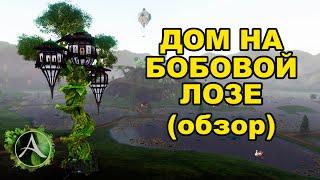  Дом на бобовой лозе (обзор) в ArcheAge