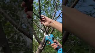 SC-8612 45MM 25.2V Electric Pruning Shears - 2024 High-end series