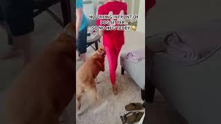 SHE CONTROLLED HERSELF GOOD…ONE MONTH OF SEPARATION #travel #dog #backhome