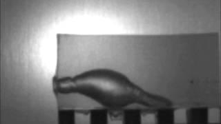 SLOW MOTION 5.7x28mm FN SS-195 impacting ballistic gelatin
