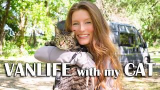 VANLIFE with my CAT | A Day In The Life VLOG | Answering Your Questions