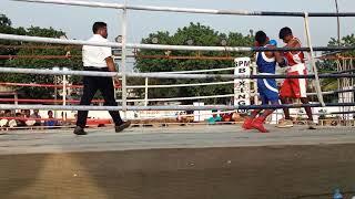 Ramesh boxer(2)