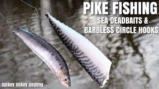 Pike Fishing Sea Deadbaits and Barbless Circle Hooks