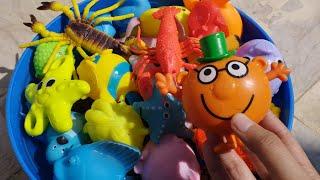 Sea Animal Toys  l assorted animals for kids