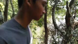 Mesum Di hutan pelajar ini