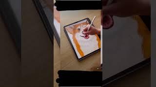 How to draw a Shiba Inu #shorts