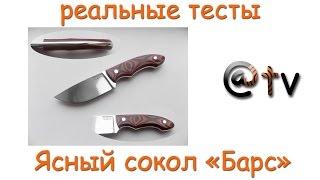 Реальные тесты. Ясный сокол. Барс. D2 Steel.