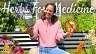15+ Herbs You Can Grow for Natural Healing - How We Use Them for Our Family