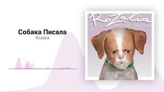 Rozalia-собака писала