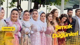 Şırnak Düğünleri - Xerzani - Raks - Cida - Hılawetın  Kurdish Wedding