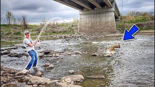 The FISH OF A LIFETIME Inhaled A TINY SWIMBAIT!!! (INSANE)