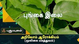 கிருமிகளை அகற்றி உடலைத் தேற்றும் புங்கை இலை | அறிவோம் ஆரோக்கியம் | 25/09/2017