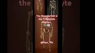Could the real Neanderthal be the troglodyte bigfoot snowbeast? #troglodyte #neandertal #snowbeats