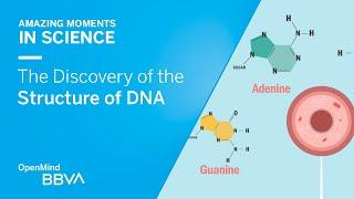 The Discovery of the Structure of DNA | AMS OpenMind