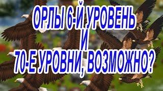 Битва за трон. Орлы 6-й уровень, можно ли атаковать 70-е уровни?