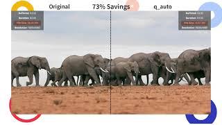 Explainer - Cloudinary's Auto Quality Transformations for Video Assets