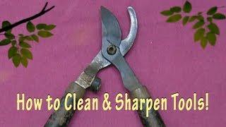 How to clean and sharpen tools: lopers, pruning shears, scissors