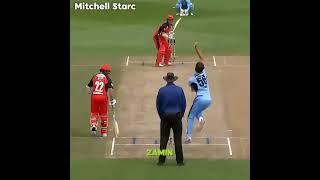 Best yorkers  #cricket #viratkohli #abdevilliers #foryou #amir #cricketviral #mamir #mamir#mohammad