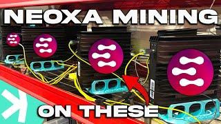 This is why I am mining Neoxa!