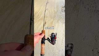 I Tested a TINY Fishing Rod  #fishing