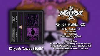 Autism Forest / Xx-_GrimGxre_-xX - Wizard Tower (Full Split EP) [Kellersynth/Black Metal]