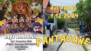 Pantauane Aji Laras 1 12 2024 Sijaro Turunrejo Brangsong Kendal