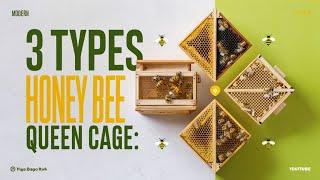 Modern Honey Bee Queen Cages Arrived