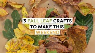 3 Cozy Fall Leaf Crafts & DIYs | Fall Decor DIYs