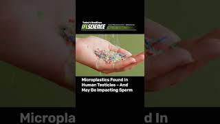 Top #Science Headlines - 20 May 2024 #news
