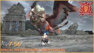 Guard Slash SNS are great for 113,000 HP Risen Teostra