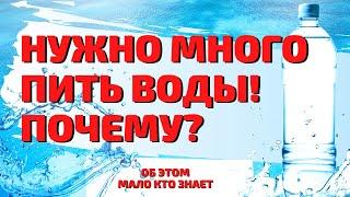 Почему нужно много пить воды на самом деле?